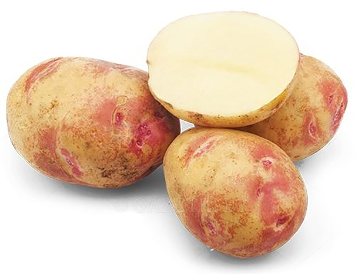 Картофель Пикасco