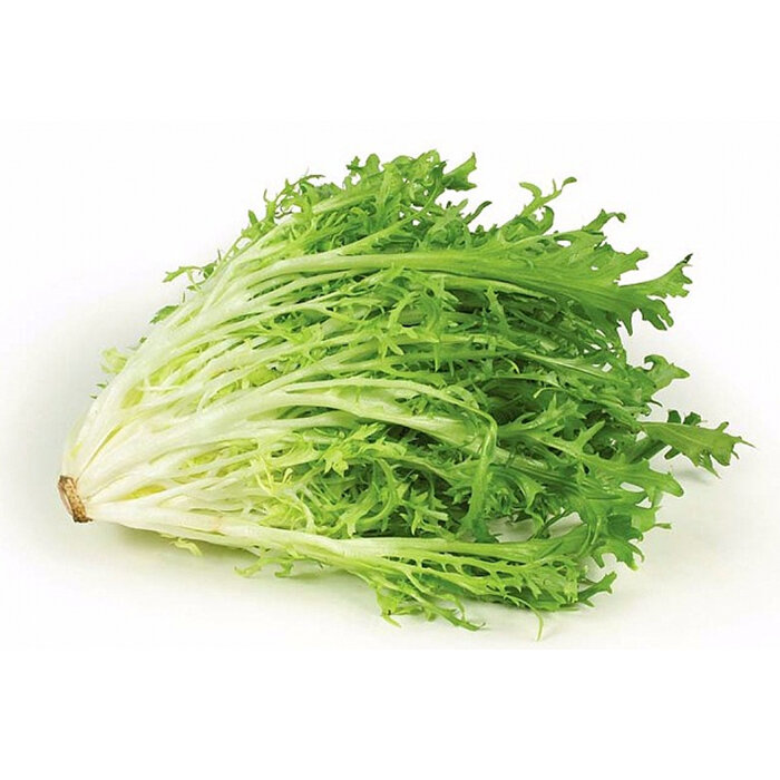 Cалат фризе